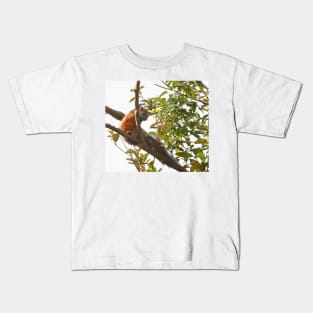 Variegated Squirrel Kids T-Shirt